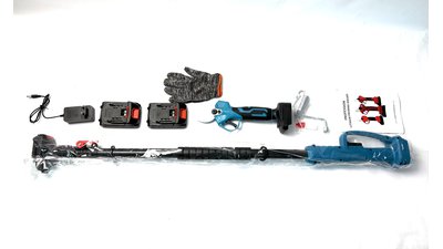 #28792 High branch pruning 1.7m