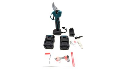 #28791 Trimming tree branches with scissors