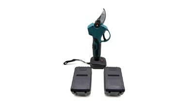 #28791 Trimming tree branches with scissors