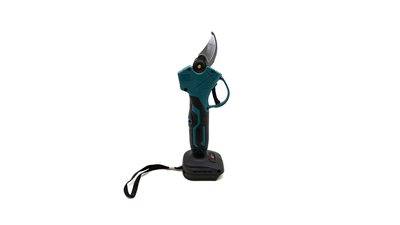 #28791 Trimming tree branches with scissors