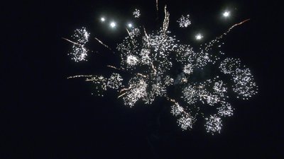 #28823 Module Cakes 1.2 12 shots