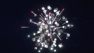 #28825 Module Cakes 1.1 36 shots