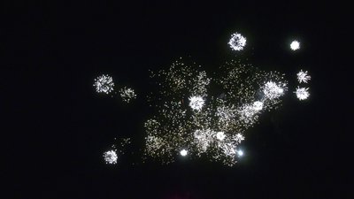 #28831 Module Cakes 0.8 25 shots