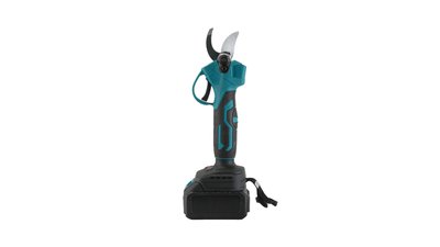 #28791 Trimming tree branches with scissors