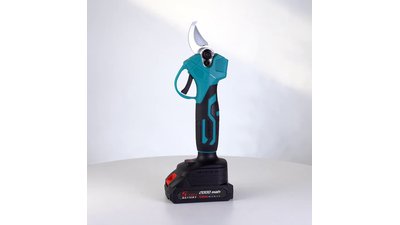 #28792 High branch pruning 1.7m