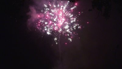 #28867 盆花54x1.0"/8x1.2" 62发数