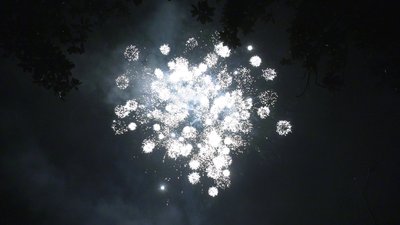 #28865 盆花0.8 99发数