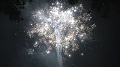 #28868 盆花56x0.8"/45x1.0"/18x1.2" 119发数