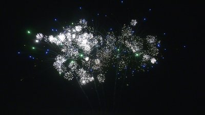 #28878 盆花1.2 25发数