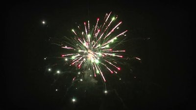 #28904 Module Cakes 1.2 25 shots