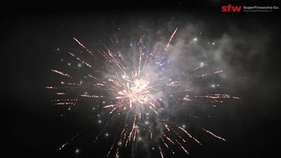 #28905 Module Cakes 1.2 25 shots