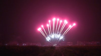 #28964 Ряд 1.2" 13 выстрелов