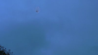 #28989 Шар пиротехнический 4.0"