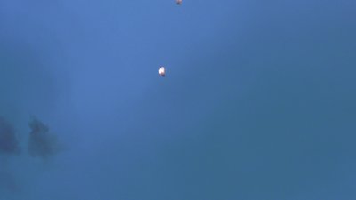 #28995 Шар пиротехнический 6.0"