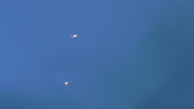 #28990 Шар пиротехнический 4.0"