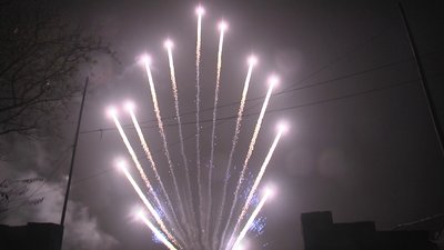 #29015 Ряд 1.2" 13 выстрелов