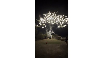 #29202 Cakes 0.8 64 shots