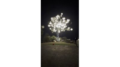 #29201 Cakes 0.8 50 shots