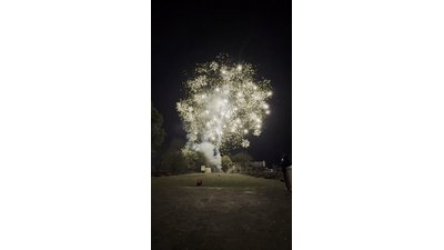 #29203 Cakes 0.8 100 shots