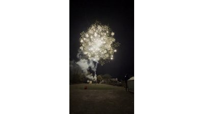 #29204 Cakes 0.8 108 shots