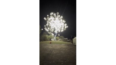 #29205 Cakes 0.8 208 shots