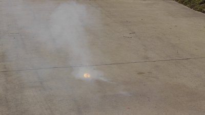 #6480 FIRECRACKERS Three color with flower blossom