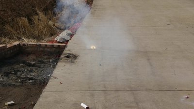 #6481 FIRECRACKERS Flower blossom with crackling