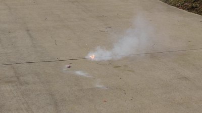 #6482 FIRECRACKERS Flower blossom with thunder