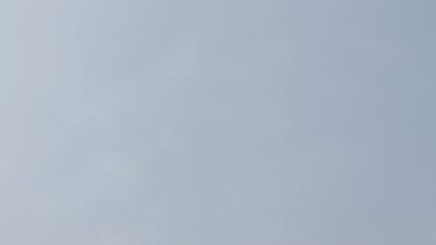 #6484 Color butterfly flying