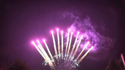 #6528 Tir à répétition 1.2" 13 coups