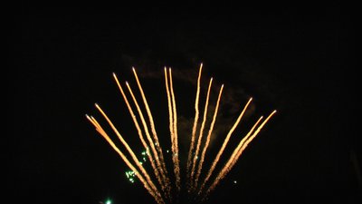 #6529 Tir à répétition 1.2" 13 coups