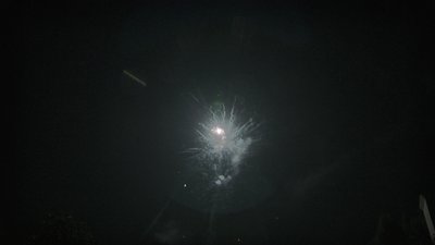 #6546 Cakes 0.8 25 shots