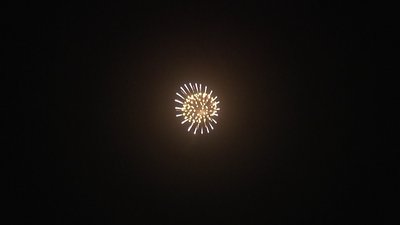 #6605 Shell 4.0"