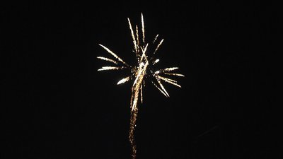 #7402 Tir simple 2.0"