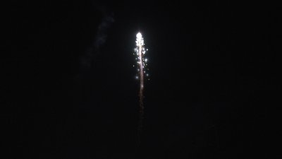 #7411 Tir simple 2.0"