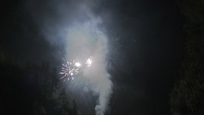 #7437 Cakes 1.0 96 shots