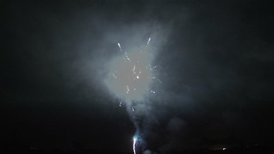 #7690 盆花0.8 100发数
