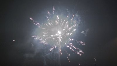 #7820 Cakes 120x1.2"/24x1.0" 144 shots