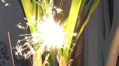 #7965 Sparklers 650mm