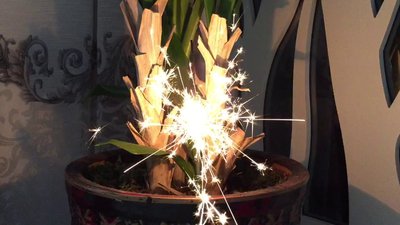 #7215 Feu de Bengale 210 mm