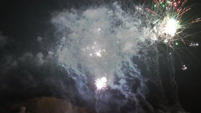 #8087 Module Cakes 1.2 25 shots