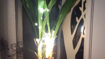 #8178 Cake Fountain 40s 0.5m
