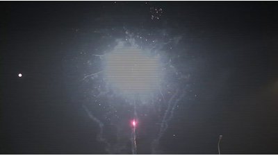 #7826 盆花225x1.0"/88x0.8" 313发数