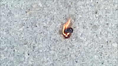 #8230 Small black snake, mini shit