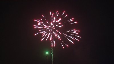 #8326 Cakes 0.8 7 shots