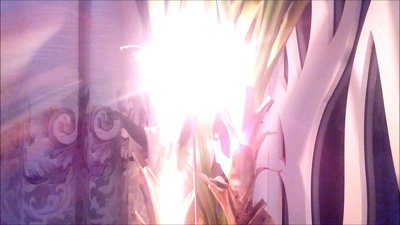 #8323 Sparklers 250mm