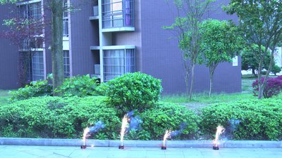 #8355 Fountains 2.5m, 40s (Fuse)