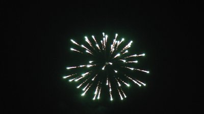 #8350 节日礼花 1.75" 6