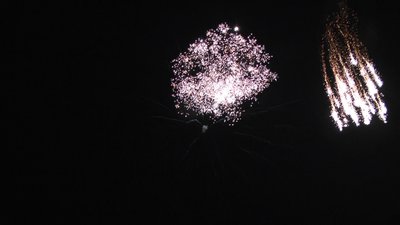 #8358 节日礼花 1.75" 6