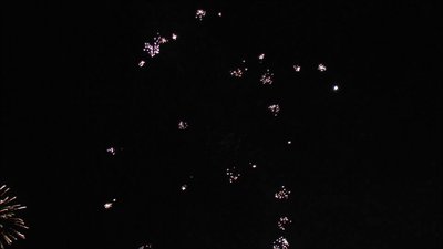 #8374 节日礼花 2.0" 6